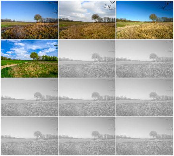 12tel Blick 2025 Collage