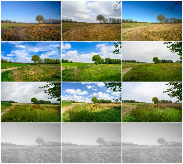 12tel Blick 2025 Collage