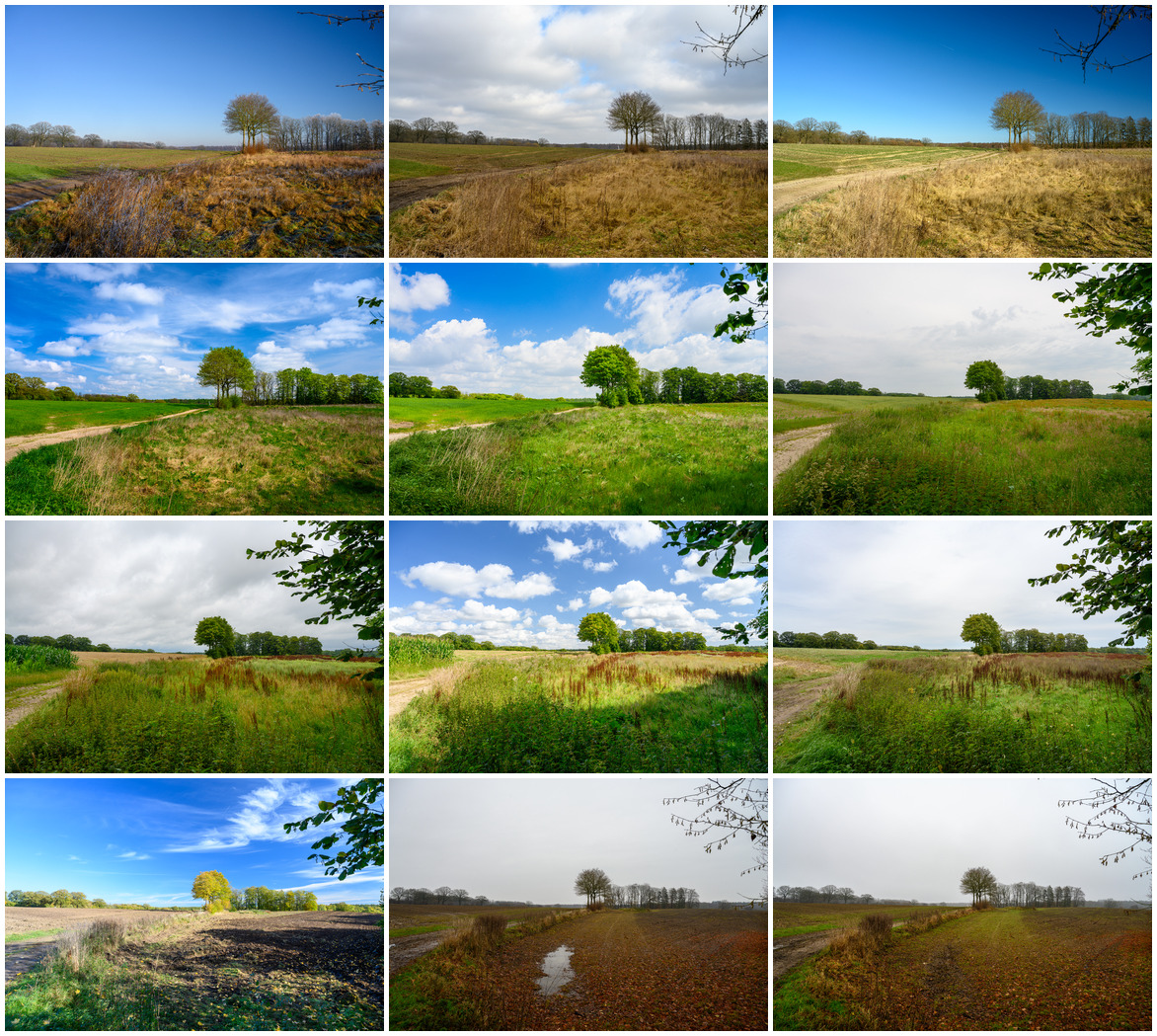 12tel Blick 2025 Collage