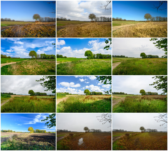 12tel Blick 2025 Collage